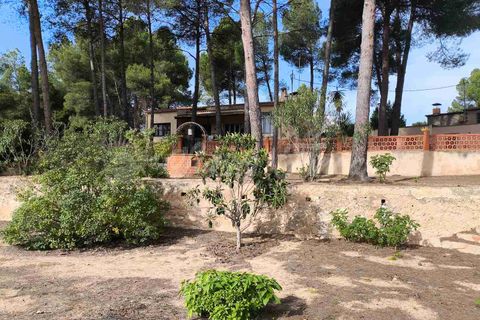 Landejendom i Almansa, Albacete, Almansa - € 235.000 | Ref: SF0548 - foto 30